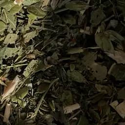 Сбор травяной для нормализации уровня сахара в крови,  сахаропонижающий, 100 г