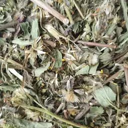 Золотарник обыкновенный канадський/Золотая розга трава сушеная - свежий урожай 100 г 