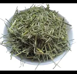 Пирій Трава Перійка Elymus repens