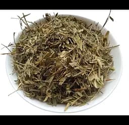 Манжетка Трава Приворотень Alchemilla vulgaris
