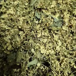 100 г калина цвет сушеный- свежий урожай