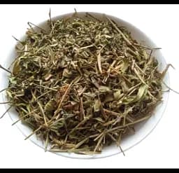 Галега Козлятник Трава Galega officinalis - мініатюра 1