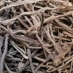 100 г баранец-плаун трава сушеная - свежий урожай