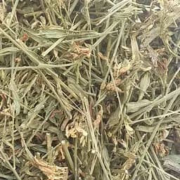 100 г дрок красильный/кровожадный трава сушеная - свежий урожай