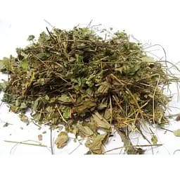Суниця лісова Листя Fragaria vesca - мініатюра 1