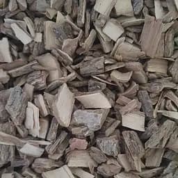 100 г бузина кора сушена - свіжий урожай