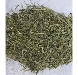 Овес Трава Avena sativa