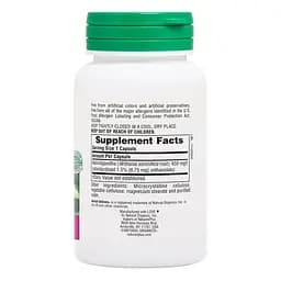 Ашваганда Natures Plus Herbal Actives Ashwagandha 450 mg, 60 вегакапсул - мініатюра 2