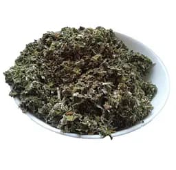 Малина Листя Ведмежа ягода Rubus idaeus - мініатюра 1