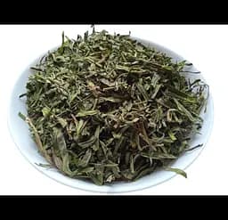 Естрагон Тархун Трава Естрагін Острогін Artemisia dracunculus - мініатюра 1