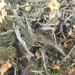 100 г адонис весенний/горицвет трава сушеная - свежий урожай