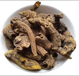 Щавель кінський Корінь Rumex confertus - мініатюра 1