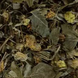 Сбор травяной для восстановления функций поджелудочной железы, 100 г, (Свое производство)