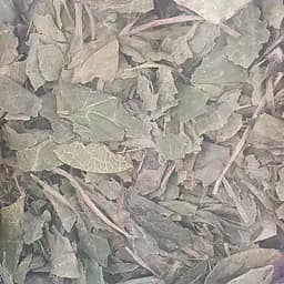 100 г грушанка круглолистная лист сушеный - свежий урожай