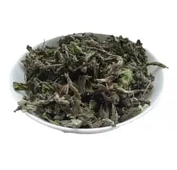 Меліса лікарська Трава Маточник Кадило Медівка Пасіка Melissa officinalis