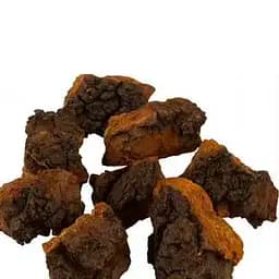 100 г чага/березовий гриб сушений кусочками - свіжий урожай