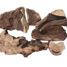 100 г півонія незвичайна коріння сушене - свіжий урожай