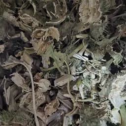 100 г дурман трава сушеная измельченная