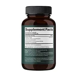 Дієтична добавка Гриб Чага Mind Shi Chaga Mushroom 1000 мг 60 капсул - мініатюра 2