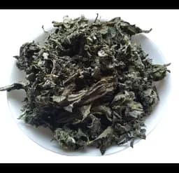 Лопух Листя Репях Репяшник Дідовник Arctium lappa