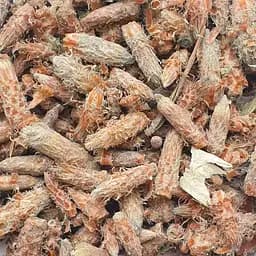 100 г сосна бруньки сушені - свіжий урожай