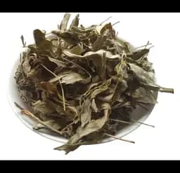 Лапчатка біла Трава Перстач Potentilla alba - мініатюра 1