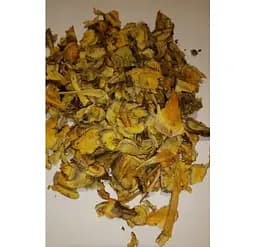 Ревінь Корінь Румбамбар Барбар Rheum officinalis - мініатюра 1