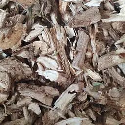 100 г цикорій звичайний коріння сушене - свіжий урожай