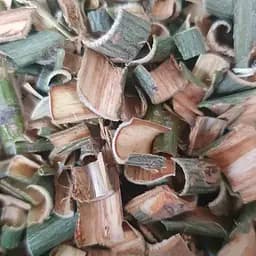 100 г ива/верба белая кора сушена - свежий урожай