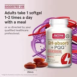 Убіхінол і Пірролохінолінхінон Jarrow Formulas QH-absorb + PQQ 30 капсул - мініатюра 6