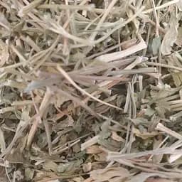 100 г петрушка сушена зелень/трава - свіжий урожай