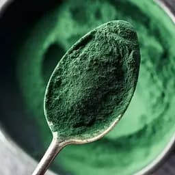 Спіруліна в порошку TOP Spirulina, 250 грам - мініатюра 2