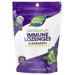 Екстракт чорної бузини, вітамін C і цинк Nature's Way Sambucus Immune Lozenges, 24 льодяники для підтримки імунної системи - Перцева м'ята - мініатюра 1