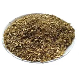 Боліголов Трава Блекіт Буглав Свистульник Conium maculatum