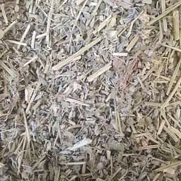 100 г якорцы стелющиеся/трибулус трава сушеная  - свежий урожай