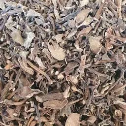 100 г портулак огородний трава сушеная