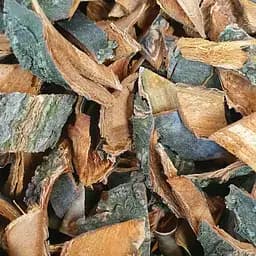 100 г абрикос кора сушеная - свежий урожай