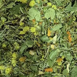 Сбор травяной антипаразитарный, от паразитов чай, 100 г, (Свое производство)