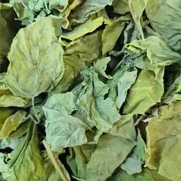 100 г лобода листья сушеные- свежий урожай