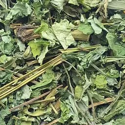 100 г чистотіл трава сушена - свіжий урожай