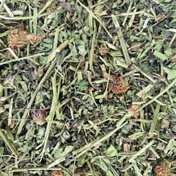 100 г клевер трава сушеная- свежий урожай