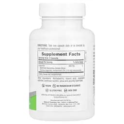 Куркумін NaturesPlus Pro Longvida Curcumin 500 мг 60 льодяників - мініатюра 2