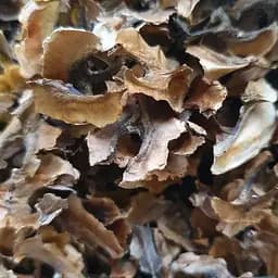 100 г перепонки грецких орехов сушеные