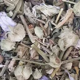 100 г мальва лісова цвіт - свіжий урожай