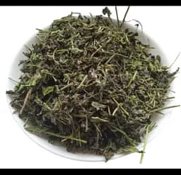 Шпинат Трава Шпінат Spinacia oleracea
