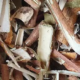 100 г шелковица белая кора сушеная