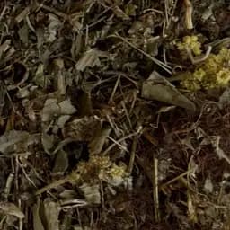 Сбор травяной желчекаменный, при камнях в желном пузыре, 100 г, (Свое производство)