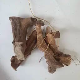 100 г диоскорея кавказская корень сушеный - свежий урожай