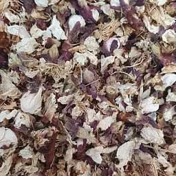 100 г абрикос цвет сушеный - свежий урожай