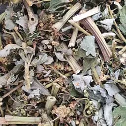 Таволга/гадючник в'язолистий трава сушена - свіжий урожай 100 г